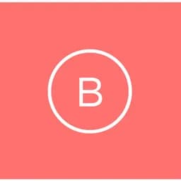 Berry Virtual logo