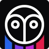 Owl.co logo