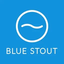 BlueStout.com - Ecommerce Experts logo