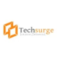 TechSurge Private Limited logo