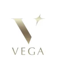 Vega Consulting logo