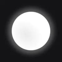 White Circle logo