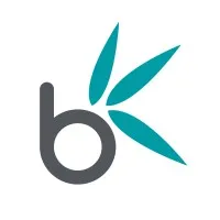 Bamboo Nine logo