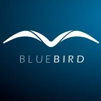 BLUEBIRD Consulting AG logo