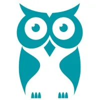 CyberOwl logo
