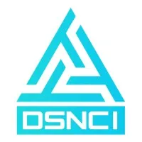 Digital Skynet Corp logo