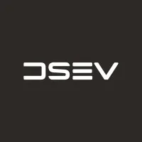 DSEV Consulting & Akademie GmbH logo
