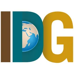 International Development Group LLC (IDG) logo