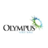 Olympus Solutions logo