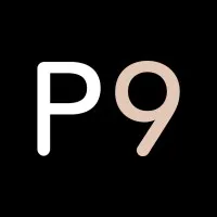 Planet Nine Private Air logo